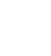 LVLS Logo
